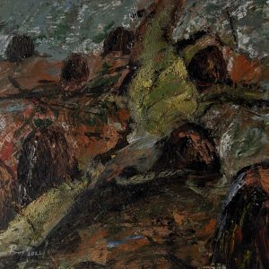 The Land 2