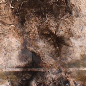 Sympathetic Nature-01